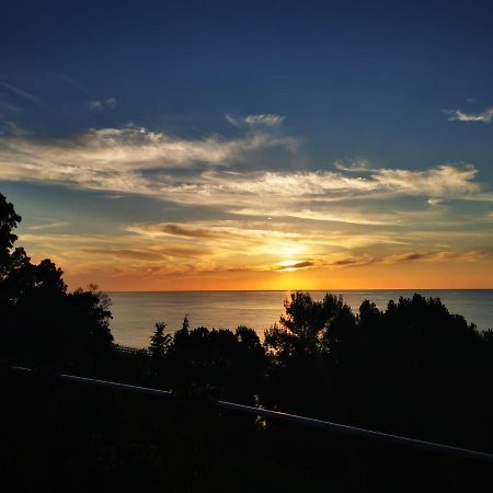 Villetta Sul Mare 阿奎多尔奇 外观 照片