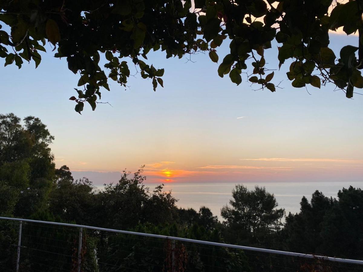 Villetta Sul Mare 阿奎多尔奇 外观 照片