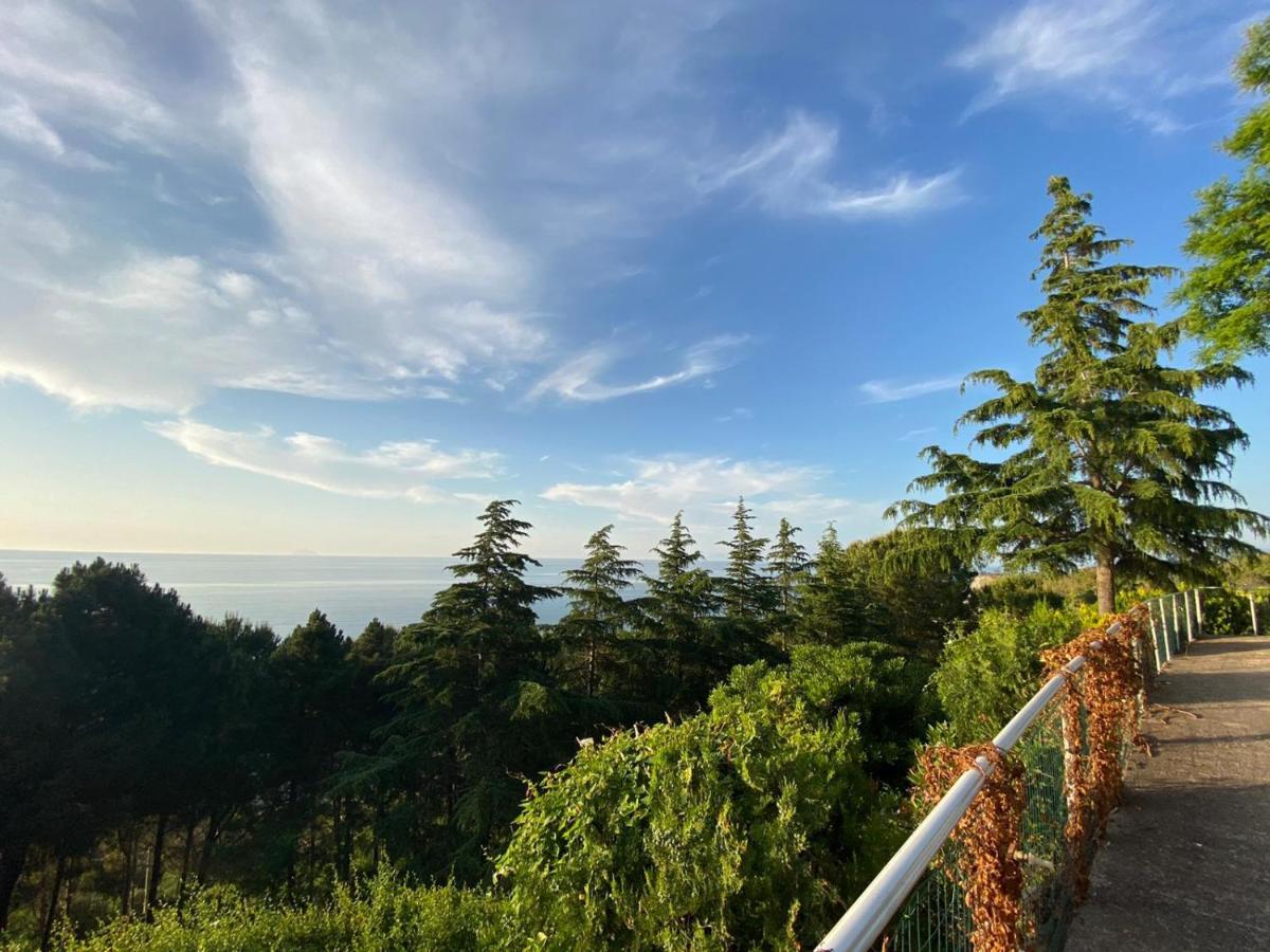 Villetta Sul Mare 阿奎多尔奇 外观 照片